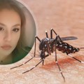Aleksandra (25) je živela život punim plućima sve dok je nije ujeo zaraženi komarac: Zbog virusa Zapadnog Nila završila u komi…