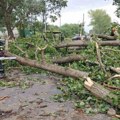 Delovi opštine Beočin danima bez struje zbog posledica nevremena