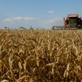 Poljska nastavlja da koči izvoz žitarica iz Ukrajine
