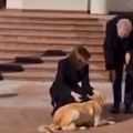 Diplomatski šok! Pas Maje Sandu ugrizao austrijskog predsednika Kamera zabležila jeziv momenat (video)