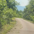 Čitalac reporter: Andonović, Pakleštica - Bravo za uređenje lokalnih puteva. Prema Pakleštici korov pored puta okošen!