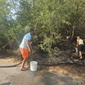 Ogroman požar u Koštunićima - izgorelo 20 hektara šume i niskog rastinja, zapratio da zahvati kuće