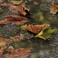 Sveže jutro, maksimalna temperatura do 20 stepeni