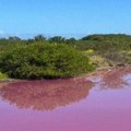 Nestvaran prizor Jezero na Havajima odjednom postalo jarko ljubičasto, ovo je razlog (foto)