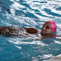 Srpska plivačica ipak bez olimpijske norme Anja Crevar osvojila četvrto mesto na Evropskom prvenstvu u Beograd