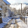 "Pao prvi sneg i rodila mi se unuka": Nestvarni snimci snega do kolena, veliki deo Srbije se noćas zabeleo