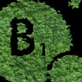 Naučnici potvrdili 67 godina staru hipotezu o vitaminu B1