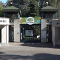 Zebra u Beogradu pobegla iz zoo vrta: Povredila dete i muškarca!