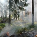 Vanredna situacija u delu opštine Prijepolje, požar se širi ka Kamenoj Gori