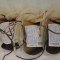 Banka krvi Kliničkog centra Kragujevac uputila poziv dobrovoljnim davaocima