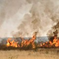Lokalizovan požar koji je jutros izbio kod Kladova: Vatrogasci su i dalje na terenu i rade na dogašivanju