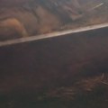 Zver ušla u štalu i mirno ležala pored teladi: Šok prizor sa Žabljaka, kruže neverovatni snimci