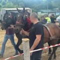 "Topot konja i duh tradicije" Više od 100 moćnih životinja na Štraparijadi, znate li šta je to? Stara veština koja se pomno…