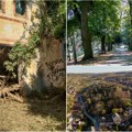 Nakon urušavanja krova u Dvorskoj bašti: Najavljene hitne mere i ograđivanje objekta