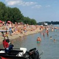 Misterija koja ledi krv u žilama! Desetine leševa morskih nemani prekrilo obalu: Ljudi u panici u neverici gledali prizor…