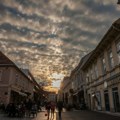 Zemun ugostio specijalnu gošću: Prolaznici je snimili u šetnji Njegoševom ulicom