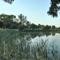 Ko čuva Kragujevac – građani u zaštiti prirode