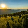 Misterija srpske planine! Na Goliji uslikana najređa divlja životinja u prirodnom okruženju: Pogledajte skrivenog zvera kako…