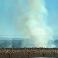 Požar na putu između Brestovca i Leskovca (video)