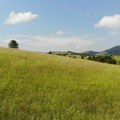 Čudotvorna planina u srcu Srbije koja poseduje bakteriju sreće: Ovde rastu biljke koje mogu da pomognu u lečenju raznih…