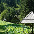 Kvadovi, safari, paraglajding... Počela letnja sezona na Kopaoniku