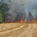 Veliki požar u Razgojni kod Leskovca, gori i šuma (video)