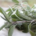 Narodni recept koji i danas zovu “lek nad lekovima”