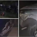 (Foto, video) Vozač traktora teško povređen Stravičan sudar u Surčinu! Vozač „audija“ pobegao s lica mesta? Uviđaj je u toku…