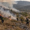 Požar se brzo širi kod Svrljiga, vetar raspiruje vatru, angažovana i opštinska jedinica