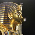 Za prokletstvo faraona Tutankamonove grobnice osumnjičene gljivice