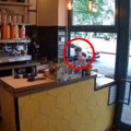 Prolazi, šunja se nazad, a onda pruža ruku kroz prozor! Nadzorne kamere snimile sramnu krađu u beogradskom kafiću, radnici…