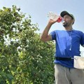 I danas toplo, temperatura do 30 stepeni