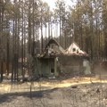 U požaru u golubačkom vikend naselju Vinci izgorelo najmanje 20 vikendica i oko 600 hektara šume i zemljišta