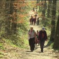 Kalendar sportskih događaja u Novom Sadu