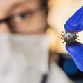 Panika među naučnicima: Otkkrili novi koronavirus, može da uđe u ljudske ćelije