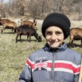 (Video) "Kad dođem iz škole, idem sa kozama" Nemanja (7) je najmlađi pastir u Srbiji: Trajkovići nemaju mnogo od materijalnog…