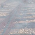 Užas u Bangkoku: Sudar vozova izazvao ogroman požar, najmanje 8 mrtvih i 25 povređenih