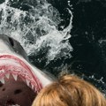 Stravičan napad ajkule u Australiji: Stradao 39-godišnji muškarac