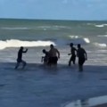 (Uznemirujući snimak) Ajkula odgrizla nogu devojci usred plićaka! Krici i panika na obali, nemilosrdna neman za manje od 24…