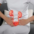 Infekcija bešike ili urinarnog trakta: U čemu je razlika i koji simptom znači da je bakterija stigla do bubrega