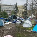 Studenti Biološkog fakulteta: Zabrinuti za stanje spomenika prirode "Pionirski park"