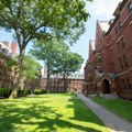 Harvard kupio "kopiju" Magne Carte za 27.5 dolara FOTO