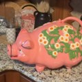 Devojka kupila vintidž kasicu prasicu za 1.100 dinara, pa pronašla blago unutra! Krenula da izvlači kesu po kesu, vratila…