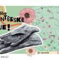 Volonteri za prirodu na 15 lokacija širom Srbije: Velika akcija čišćenja i uređenja 12. i 13. septembra