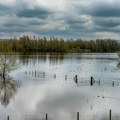 ФАО помаже Србији у санацији штета од поплава