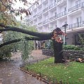 Trobojka jača od oluje: Nevreme u Crnoj Gori, u Nikšiću jak vetar slomio staru topolu (foto)