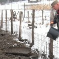 Vojvođanin koga je put vodio preko Švedske do Kremana: Osećam da pripadam ovde (VIDEO)