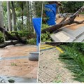 Kurir usred katastrofalnog nevremena u Kini Veliki broj mrtvih i nestalih, evakuisani milioni, Ragasa iza sebe ostavlja smrt i…