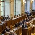 Češka opozicija traži da se smeni šef parlamenta zbog vređanja EU i Ukrajine