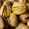 Cena pistaća skočila u nebesa: Rat u Iranu i popularnost Dubai čokolade digli mu vrednost na zlatne visine